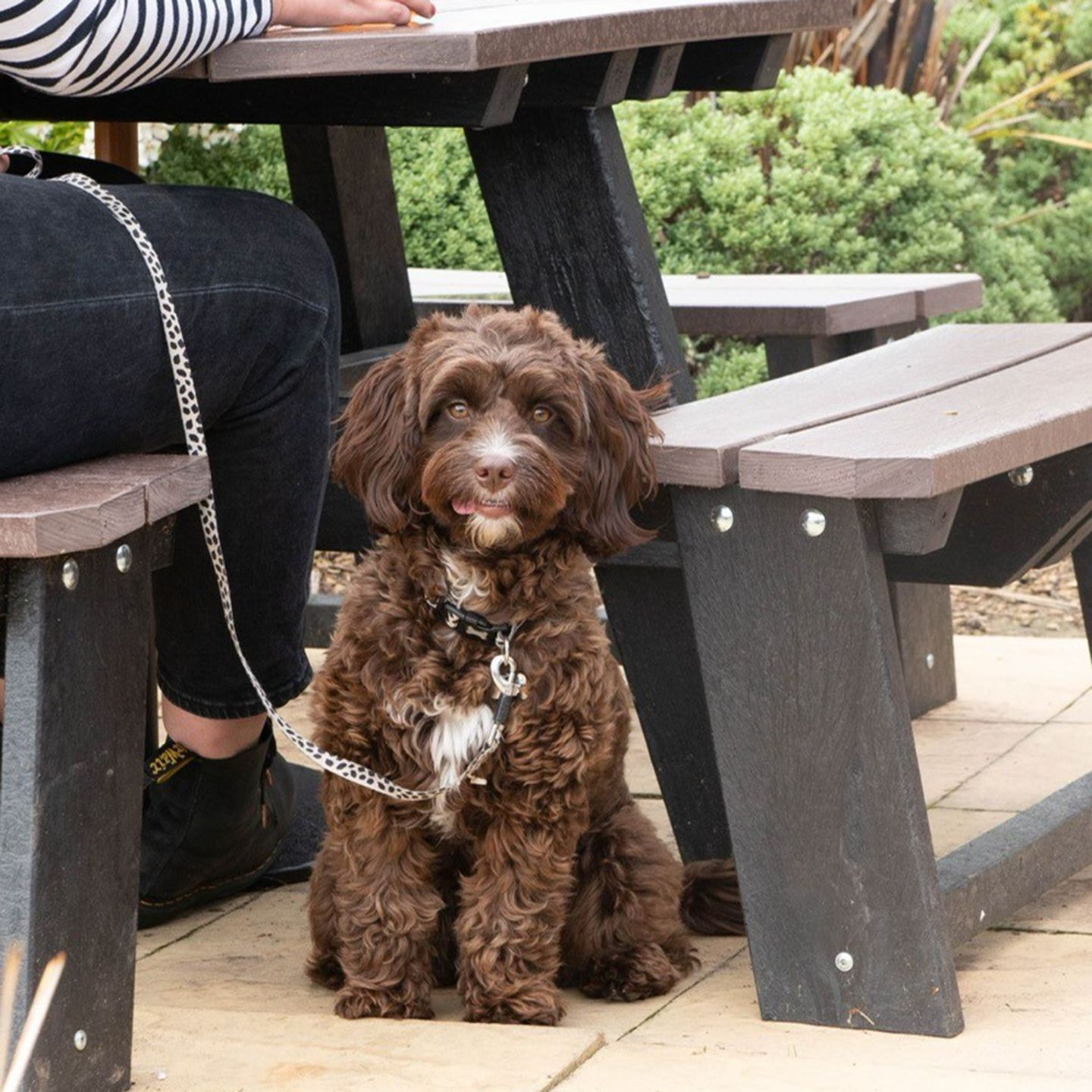 Your local dog friendly pub in Hinckley